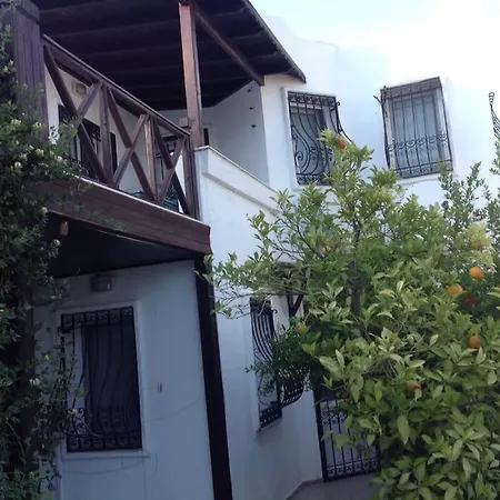 Cheerful Бодрум